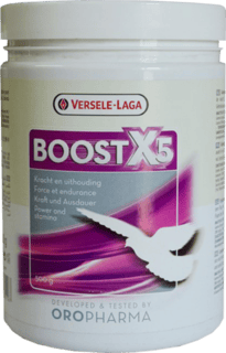 Boost X5 500G